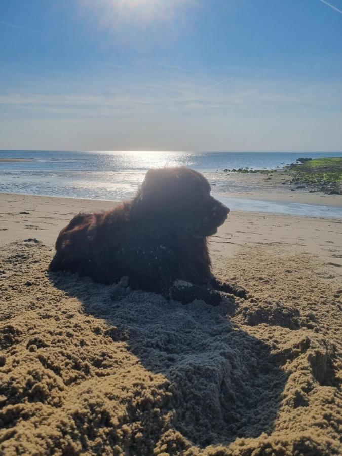 Meerblick Wattenmeer ,50M Vom Meer,Strand 300M Westerland المظهر الخارجي الصورة