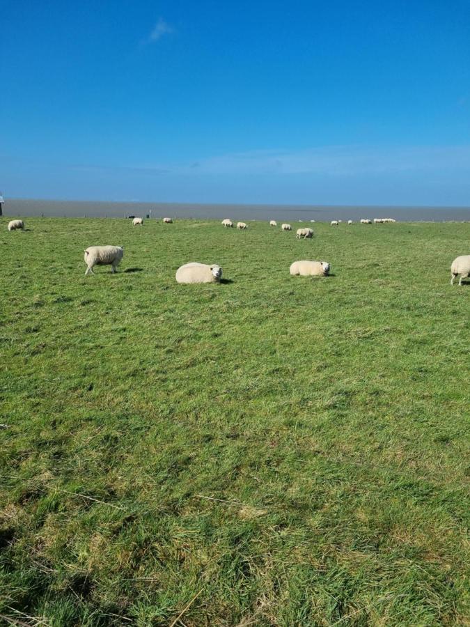 Meerblick Wattenmeer ,50M Vom Meer,Strand 300M Westerland المظهر الخارجي الصورة